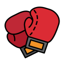 Boxing/UFC