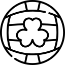 Gaelic Sports